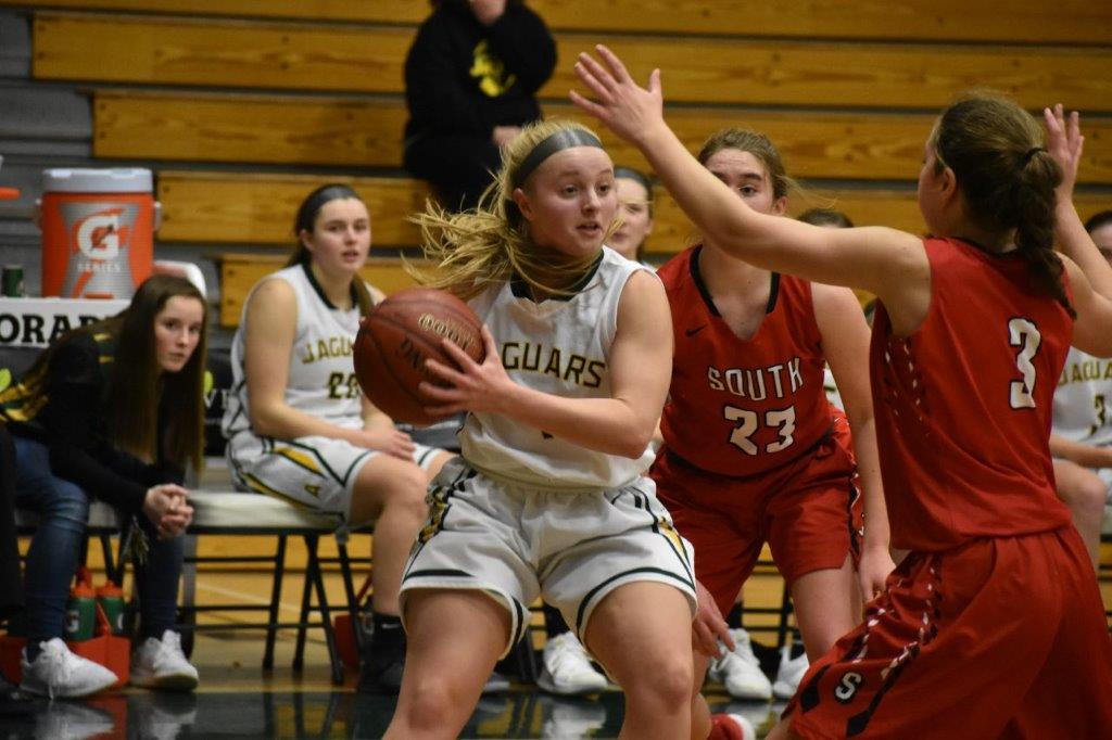 Schaible’s 14 lifts Jaguars over Redwings