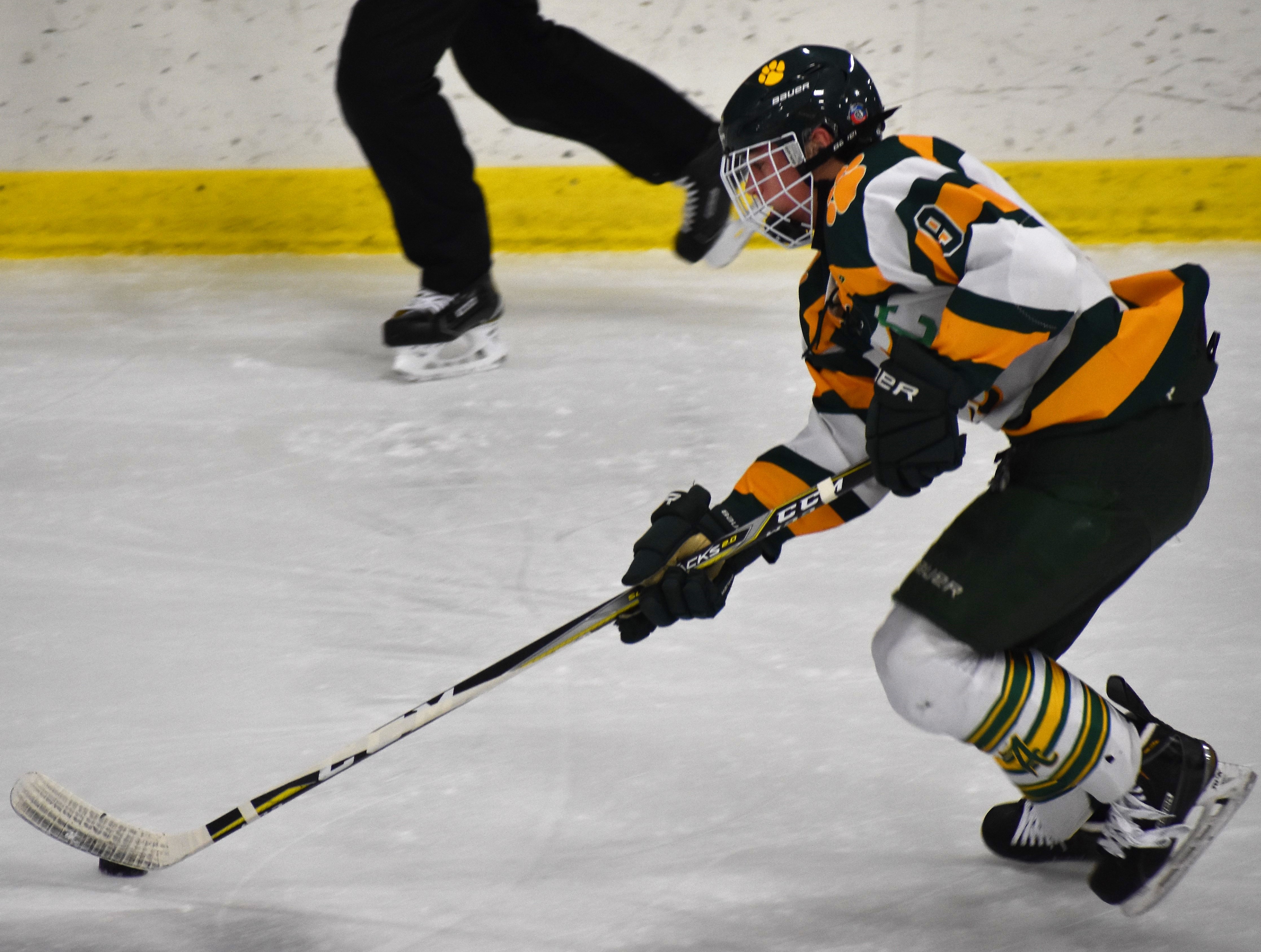 Jaguars hockey recap and all-conference honors