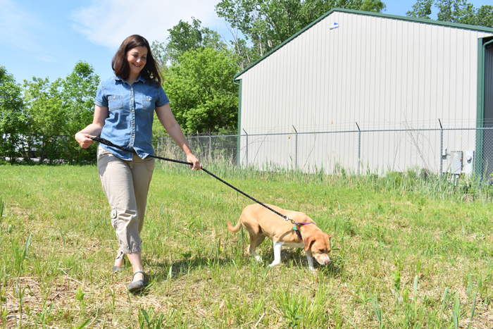 Haven Animal Rescue nearly set up in new location
