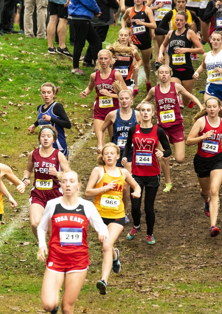 Area runners compete at WIAA cross country state meet The Press