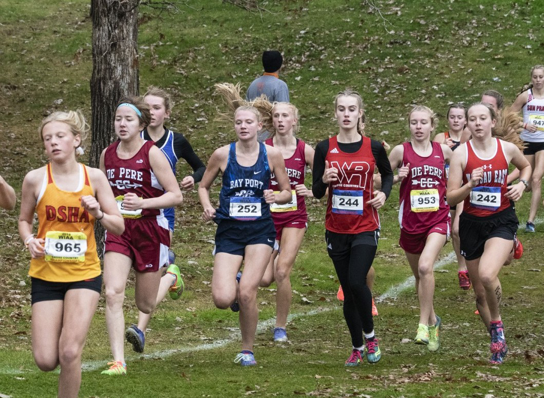 Area runners compete at WIAA cross country state meet