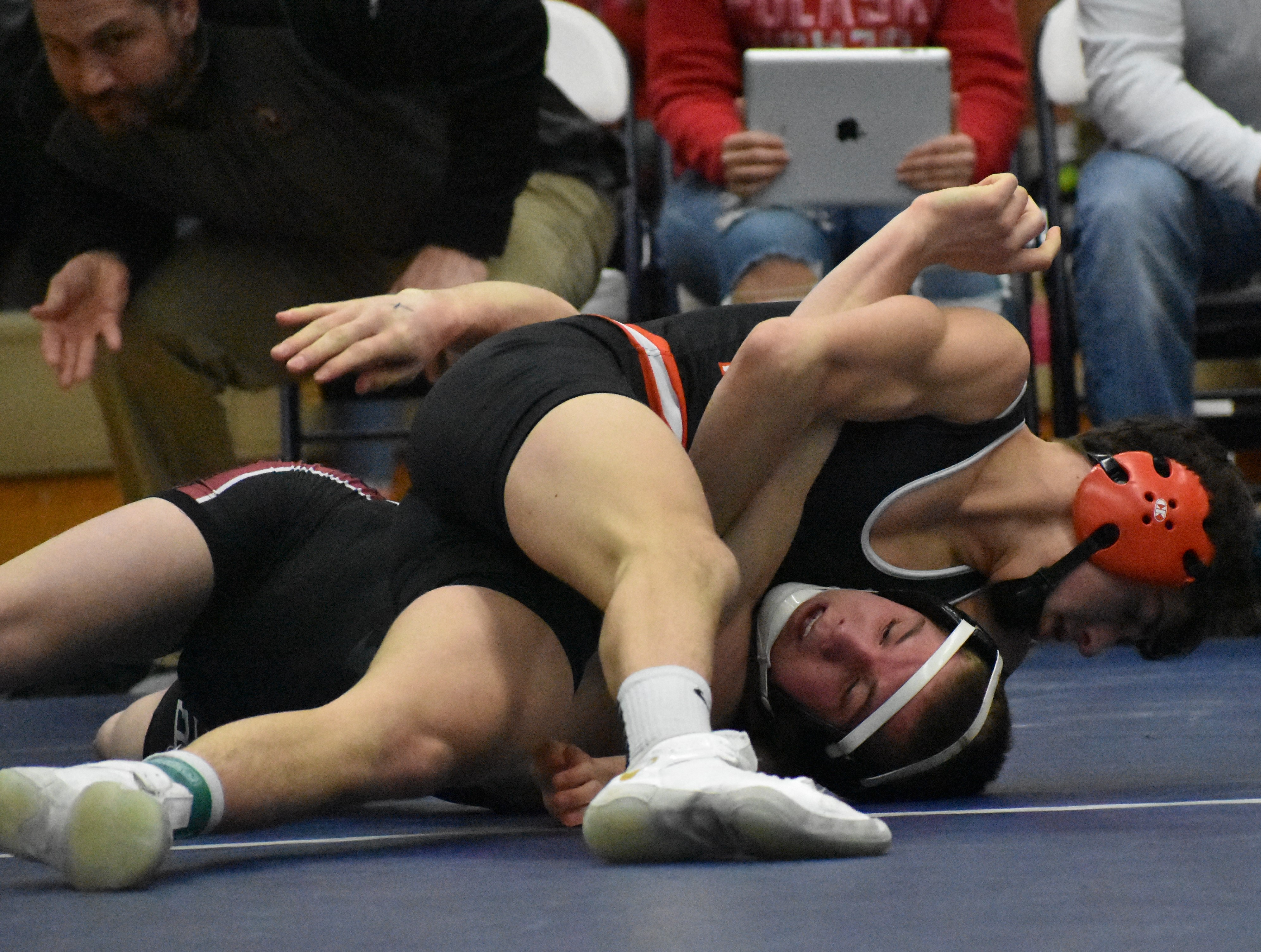 Local wrestlers win sectional titles