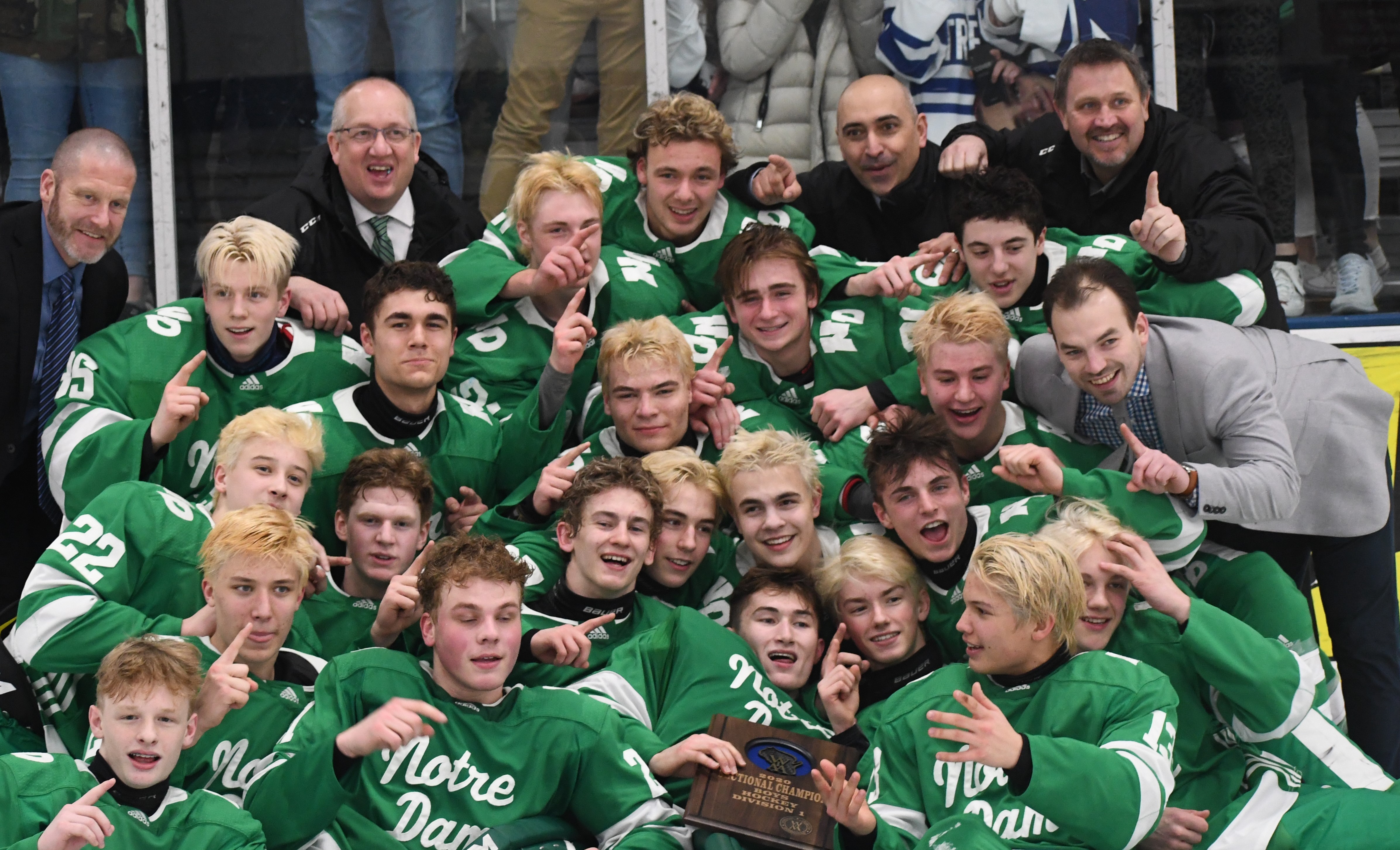 Notre Dame hockey punches ticket to state