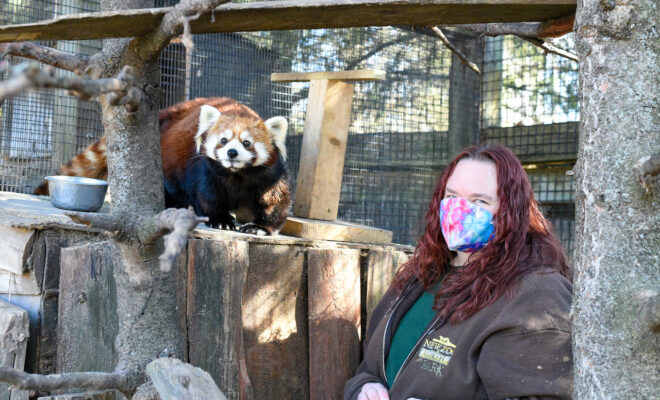 Helping animals and promoting conservation as senior zookeeper - The Press