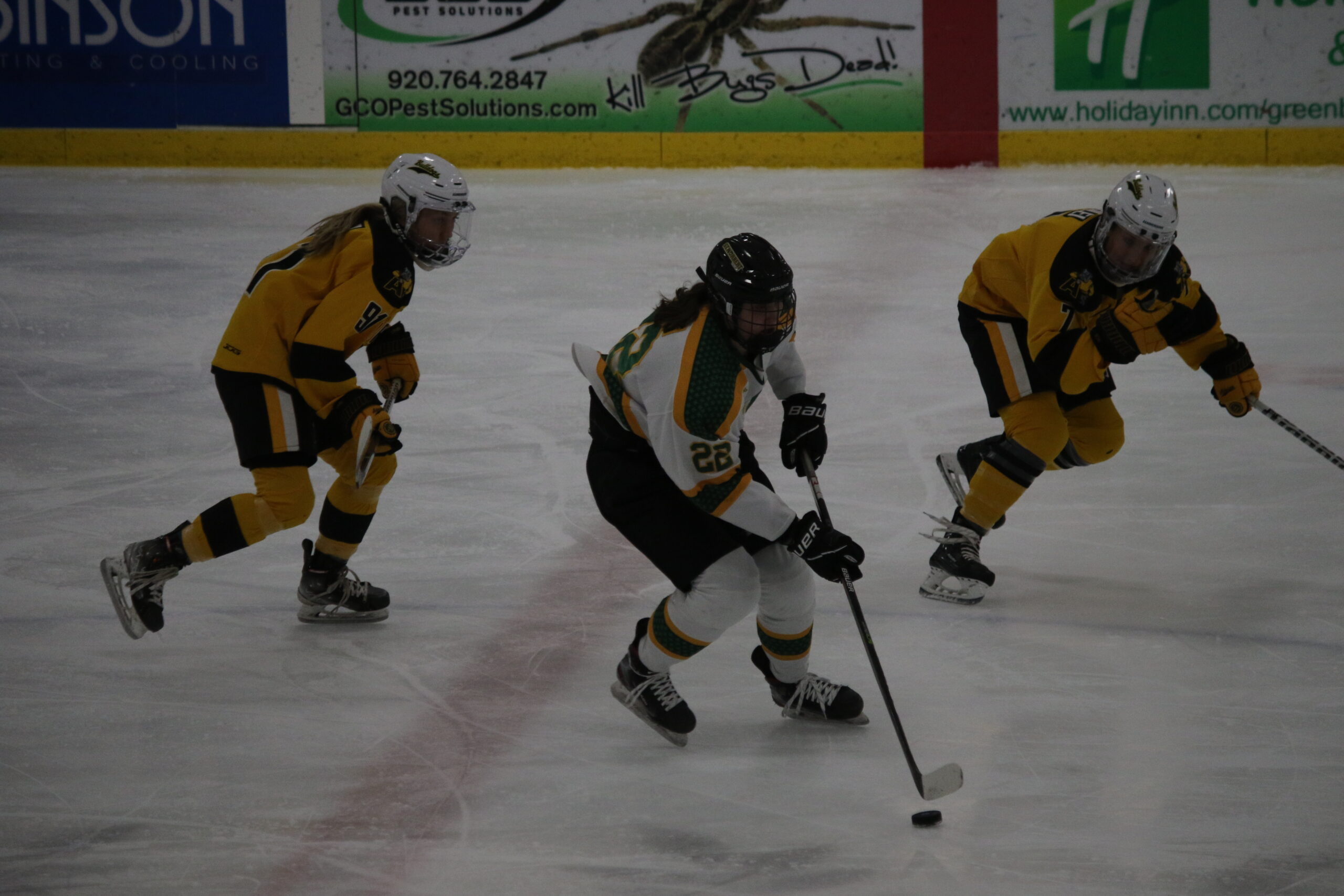 SNC women’s hockey losses; can win conference title with win tonight