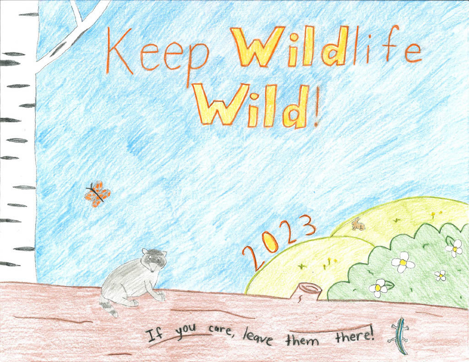 Suamico youth takes first in DNR poster contest